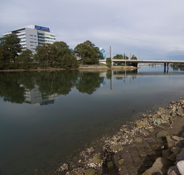Commercial buildings in Tempe, NSW